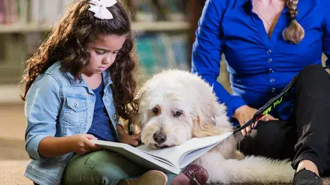 A young girl sitting in a library reads a book near a white, shaggy dog and a woman.