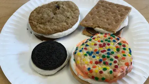 Four s'mores on a plate, one traditional, and three made with various cookies