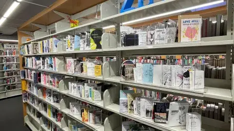 Shelf full of zines