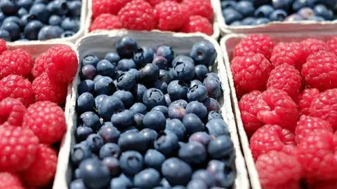 A color photo of baskets of blueberries and raspberries, Image by Ilona Frey from Pixabay