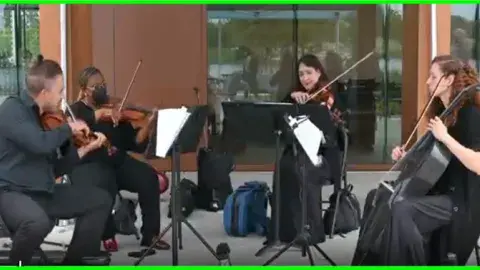 Four Musicians playing their string instruments