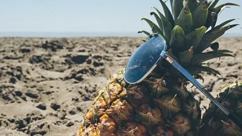 A color picture of a pineapple on the beach, wearing sunglasses