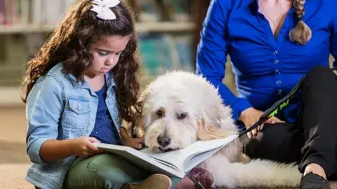 Child sitting down and reading to a therapy dog.