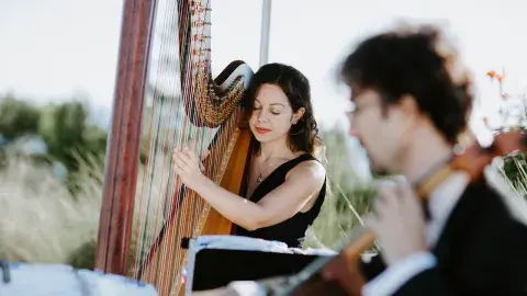 Woman playing a harp and men playing a cello