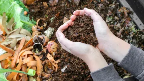compost gathered in hands into the shape of a heart