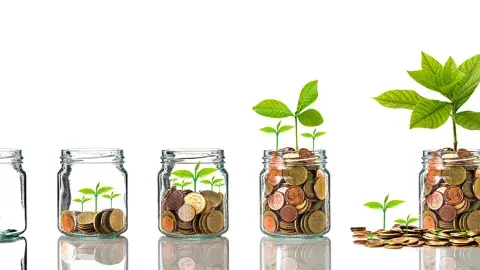 five jars with growing coins