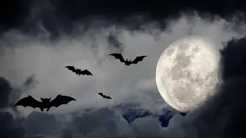 bats, the moon, and a cloudy night sky