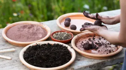 Hands rolling mud, clay and seeds to make a seed bomb.