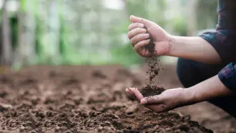 hands grabbing soil 