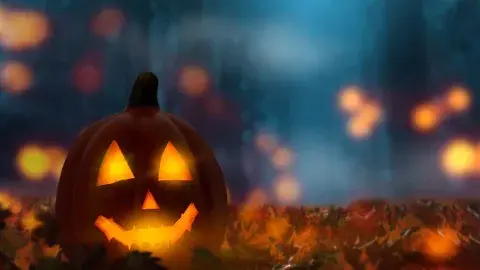 Jack-o'-lantern in a forest