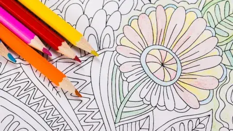 color pencils with coloring sheet