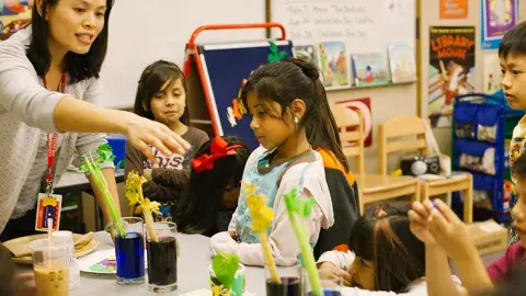 Children sitting at a table doing a science experiment