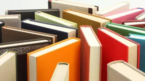 A bunch of colorful books standing up