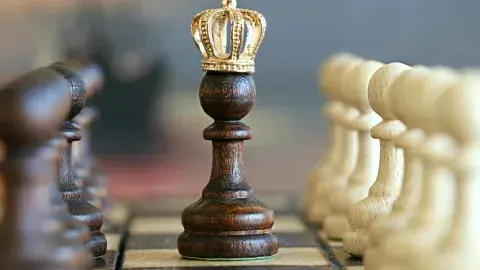 Chess pieces with the king in the center on a chessboard
