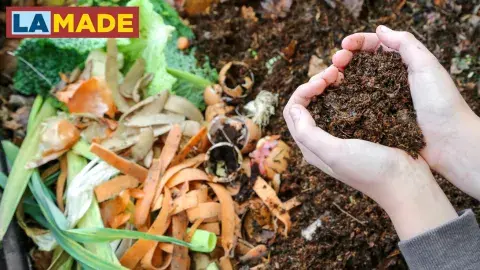 cupped hands holding dirt