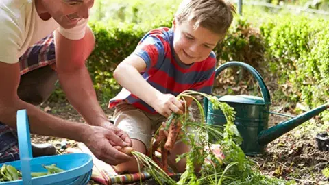 A man and child gardening