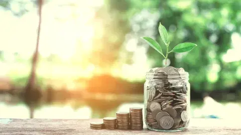 jar of coins with plant sprouting