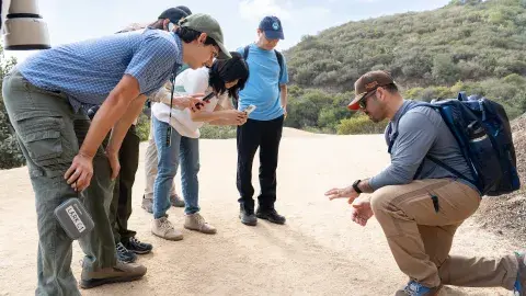 Hike lead explain an observation to group