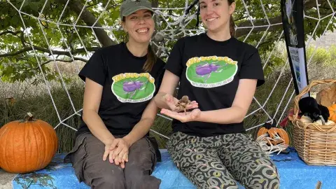Two girls sitting in front of a spiderweb display