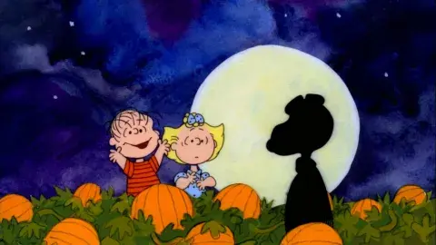 Charlie brown characters search for the great pumpkin in a pumpkin patch