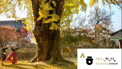 A woman under a tree with a building in the background.