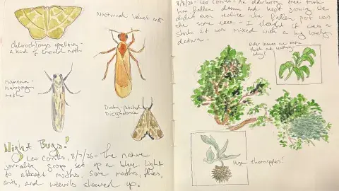 journal with images and handwritten notes