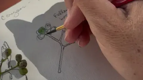 close up of hand watercolor painting drawings of nature