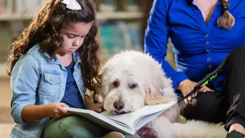 A girl reads to a dog