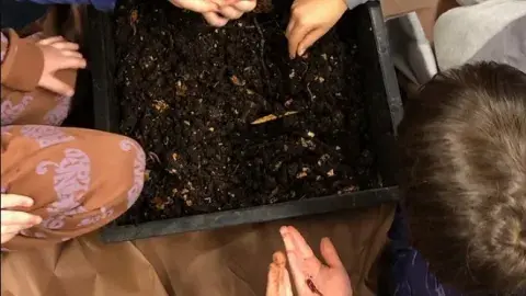 Children's hands holding worms over a box of dirt.