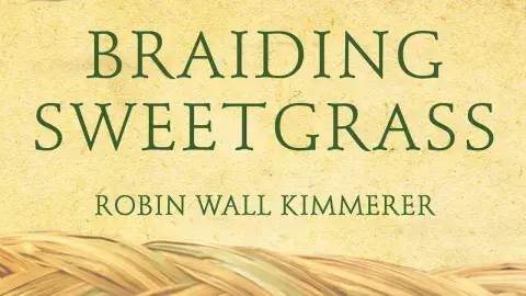 The cover of Braiding Sweetgrass