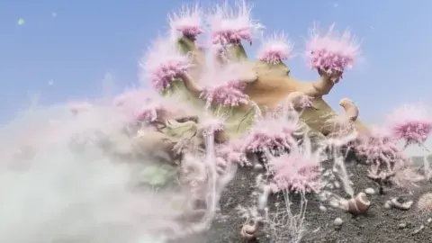 Still from Exceptional Creatures by Dalena Tran