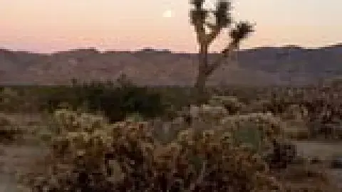 Desert America: Boom and Bust in the New Old West