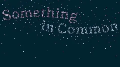 Somthing in Common logo