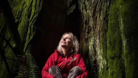 Suzanne Simard