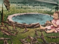 Color postcard of California Alligator Farm, in Los Angeles [ca.1911]