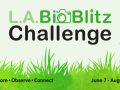 BioBlitz header