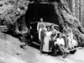 Japanese family gather beside an automobile at Wawona Tree in Yosemite National Park
