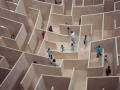 people in a maze