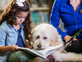 A girl reading to a dog with an adult nearby
