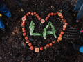 compost items shaped as heart with LA in the center