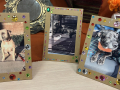 Image of decorated frames with pictures of dogs and a cat.