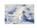 little snowman with snow all around him
