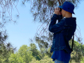 A young man stands under a tree, holding up a pair of binoculars.