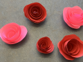 Red and pink paper roses