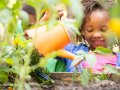 A smiling girl uses a watering can to water garden plants.