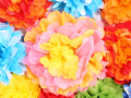 Multicolored craft paper tissue flowers