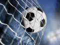 soccer ball in a net