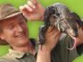 Man holding up a reptile