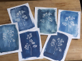 assorted cyanotype prints showing flowers