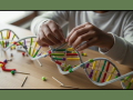 Picture of young hands putting together a double helix model made of pipe cleaners, beads, and sticks.
